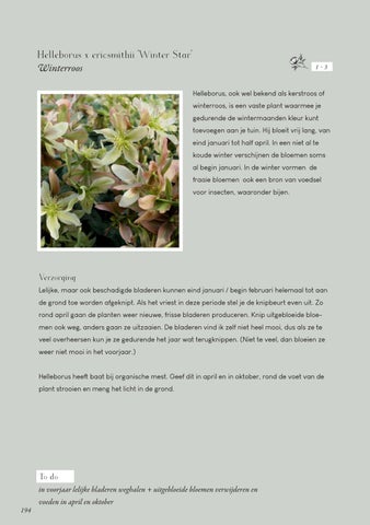 Page 194