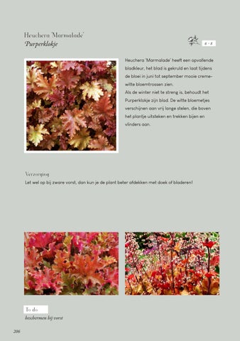 Page 206