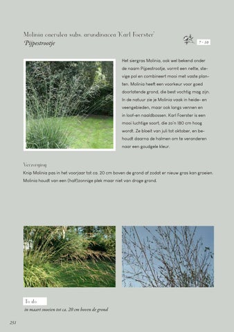 Page 251