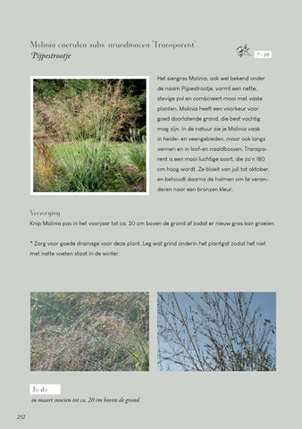 Page 252