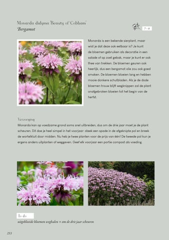 Page 253
