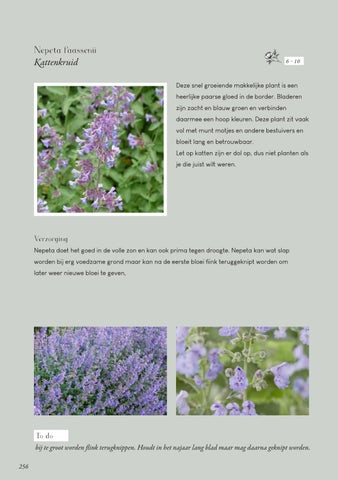 Page 256