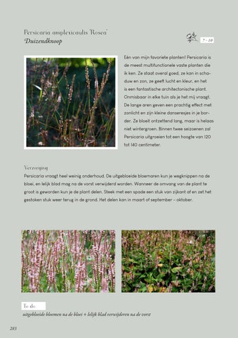Page 283
