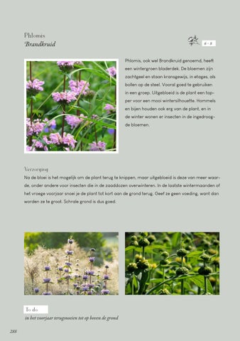 Page 288
