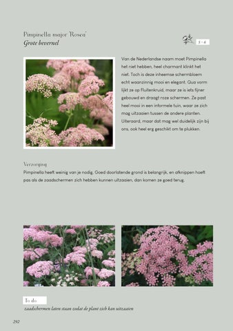 Page 292