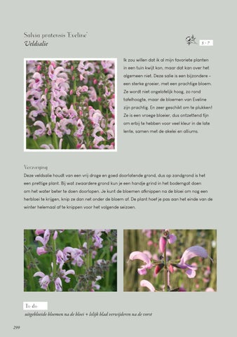 Page 299