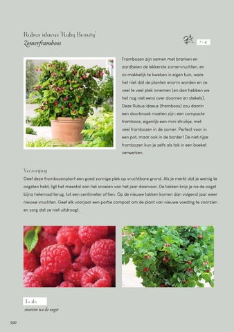 Page 300