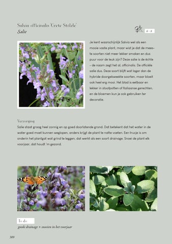 Page 309
