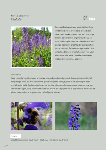 Page 310