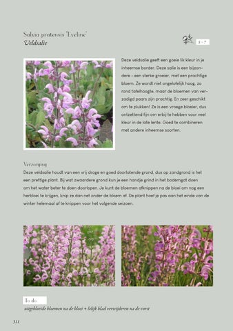 Page 311