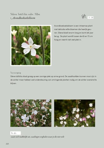 Page 325