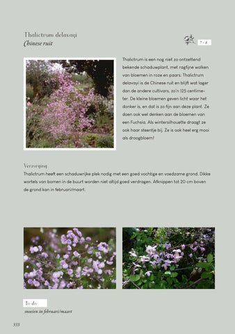 Page 333