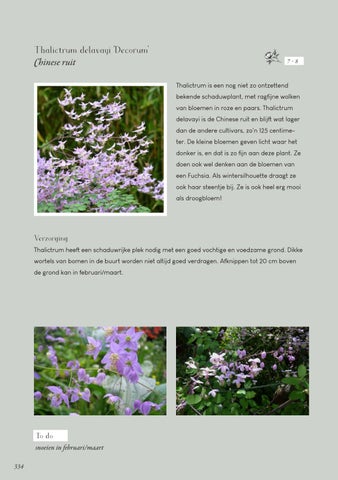Page 334