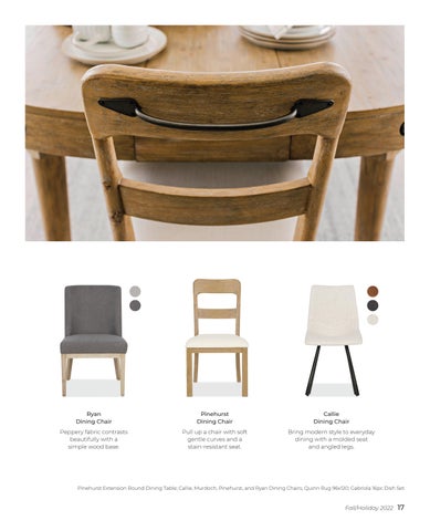 Urban Barn Fall/Holiday 2022 家具型录 第 17 页