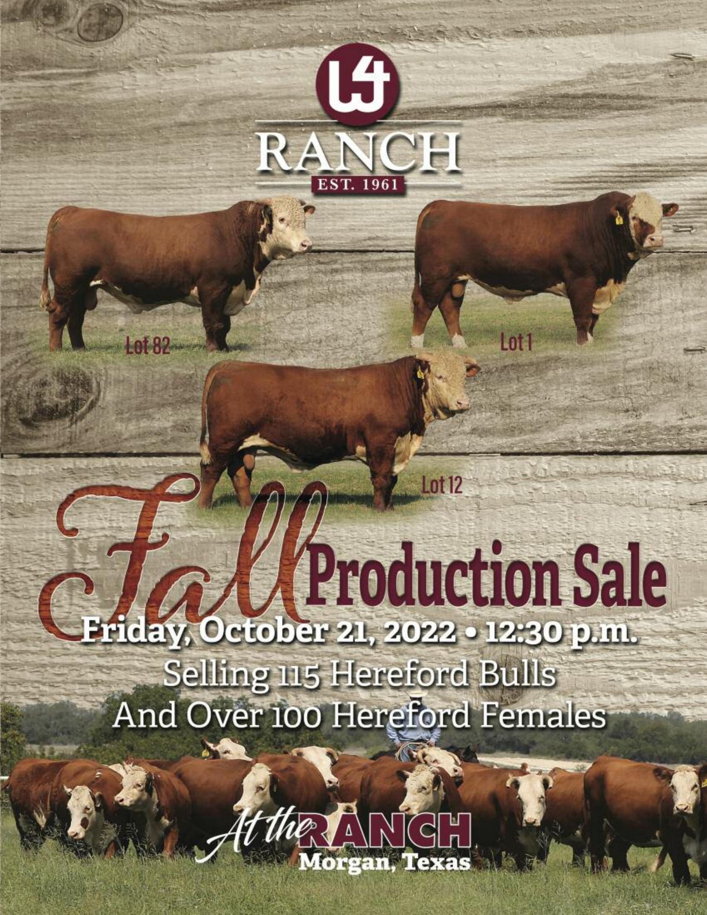 W4 Ranch Fall Bull & Female Sale Catalog by Ranch House Designs Issuu