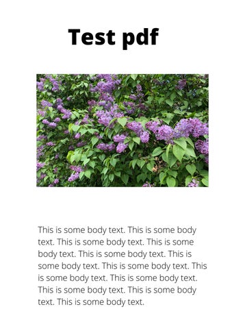 My test pdf by Bjarne Frykholm Issuu