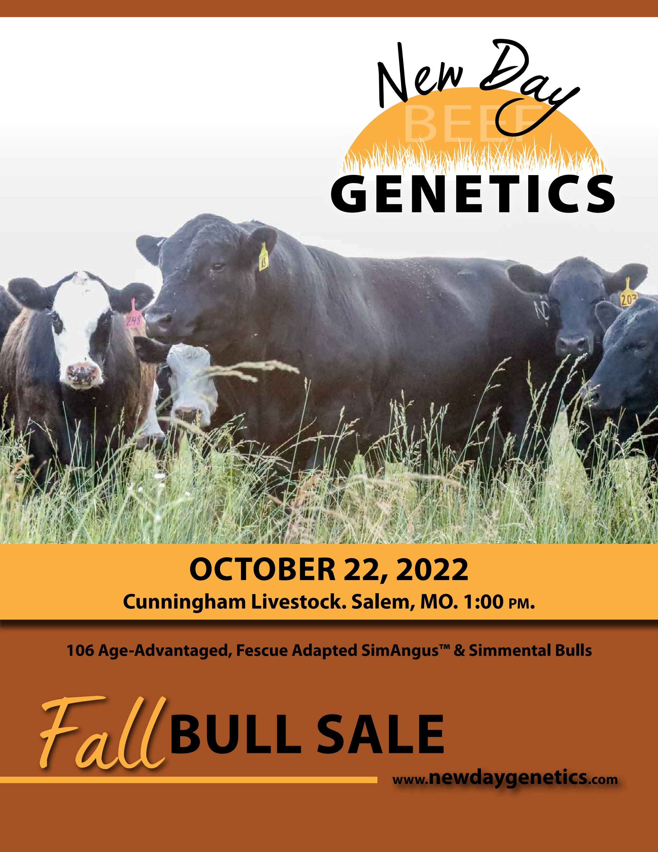 2022 New Day Fall Bull Sale by Julie Murnin Issuu