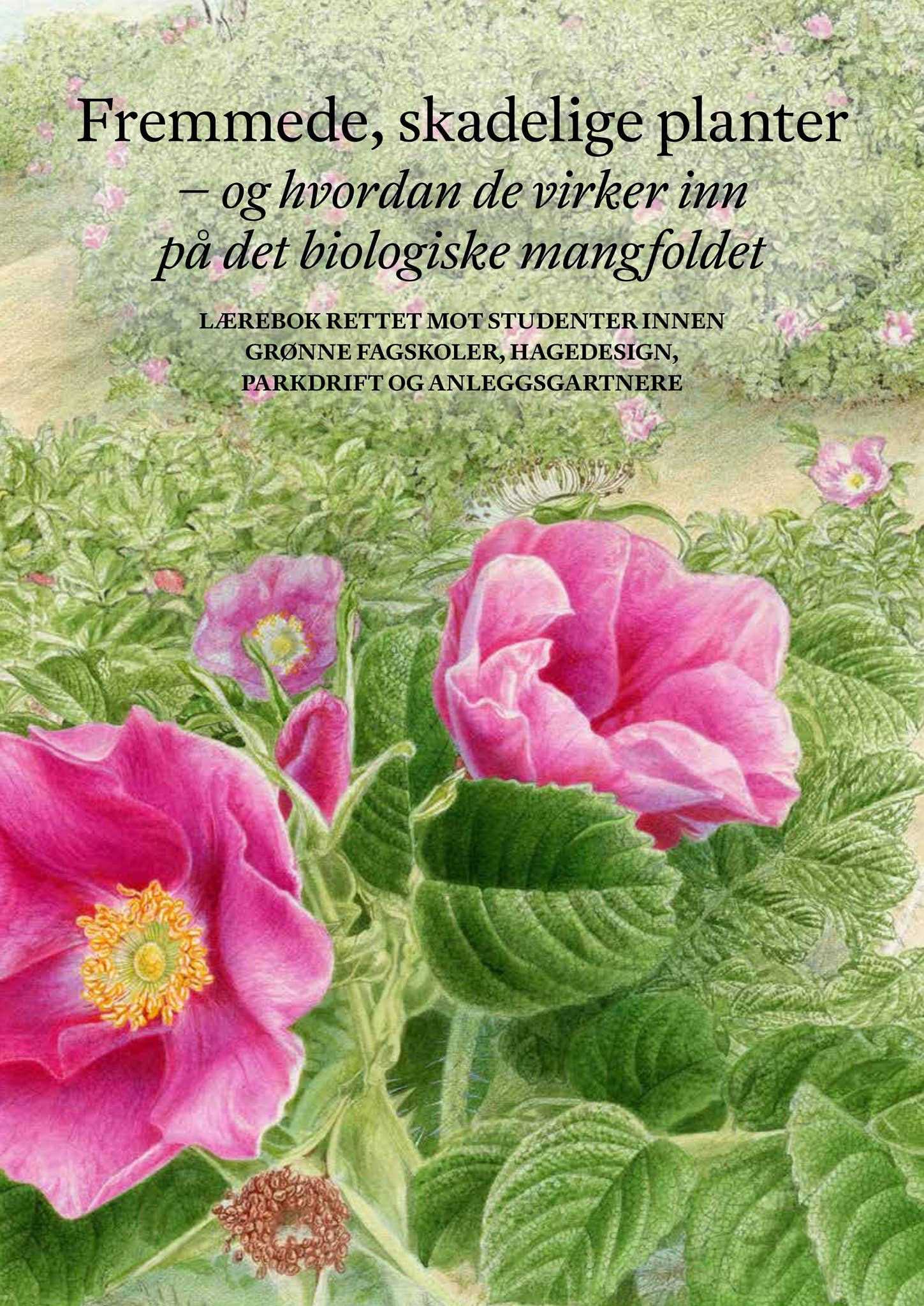 Fremmede, skadelige planter – og hvordan de virker inn på det biologiske  mangfoldet by Det norske hageselskap - Issuu, image size:1449x2048