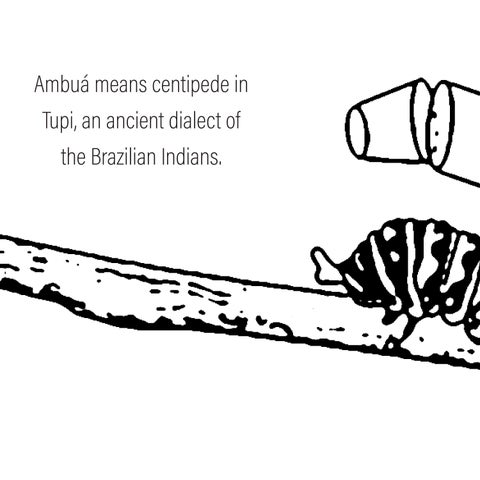 Ambuá 第 2 页