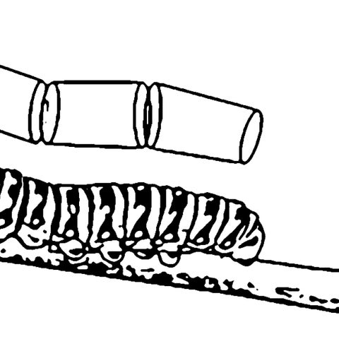 Ambuá 第 3 页