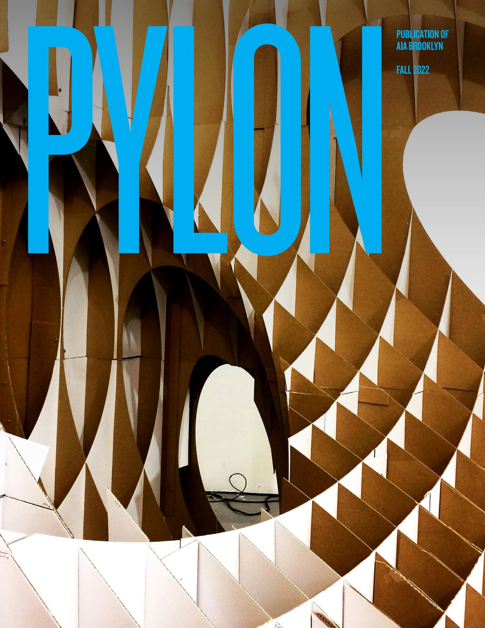 PYLON: FALL 2022 by AIA Brooklyn - Issuu