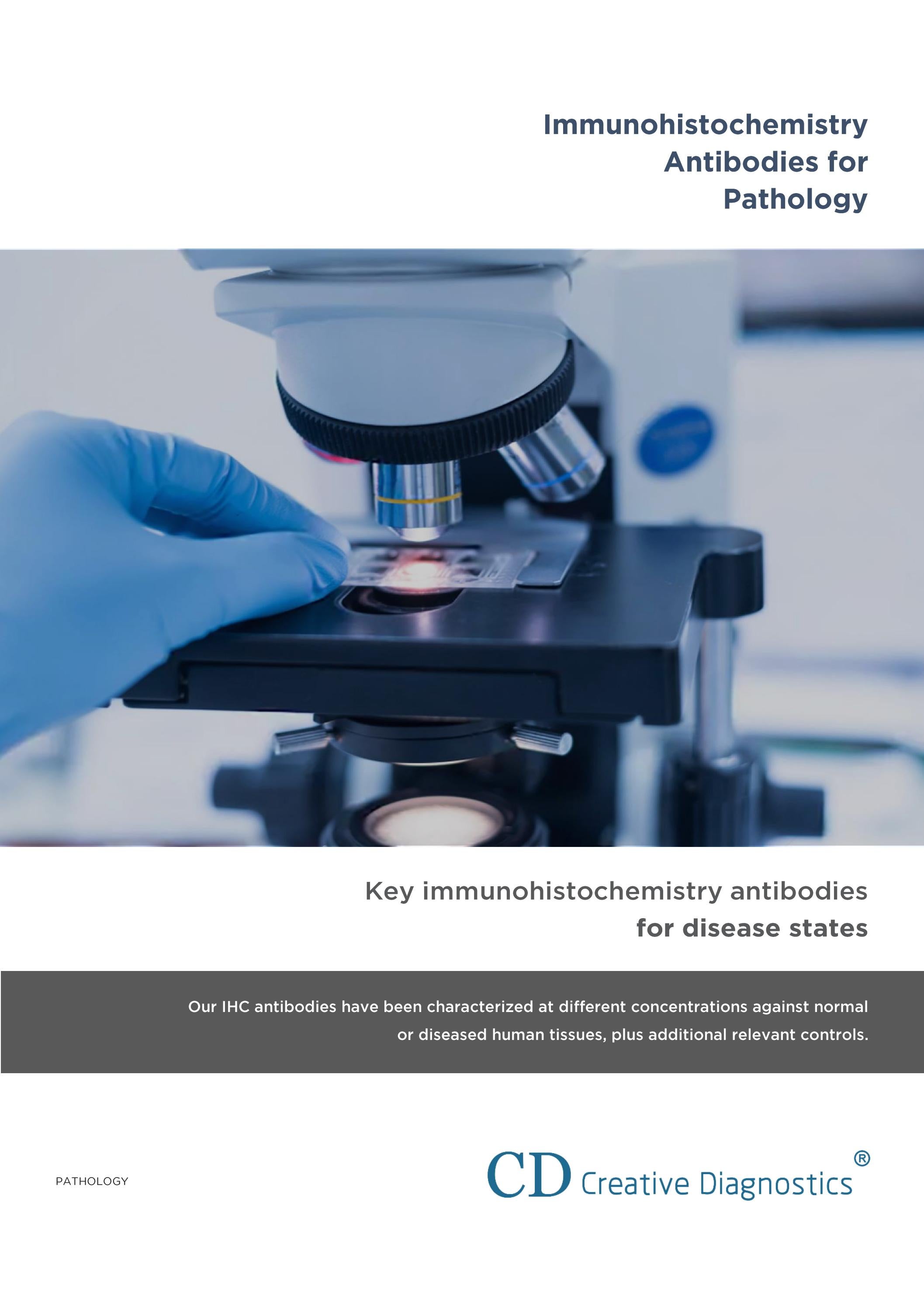 Immunohistochemistry Antibodies for Pathology by Creative Diagnostics ...