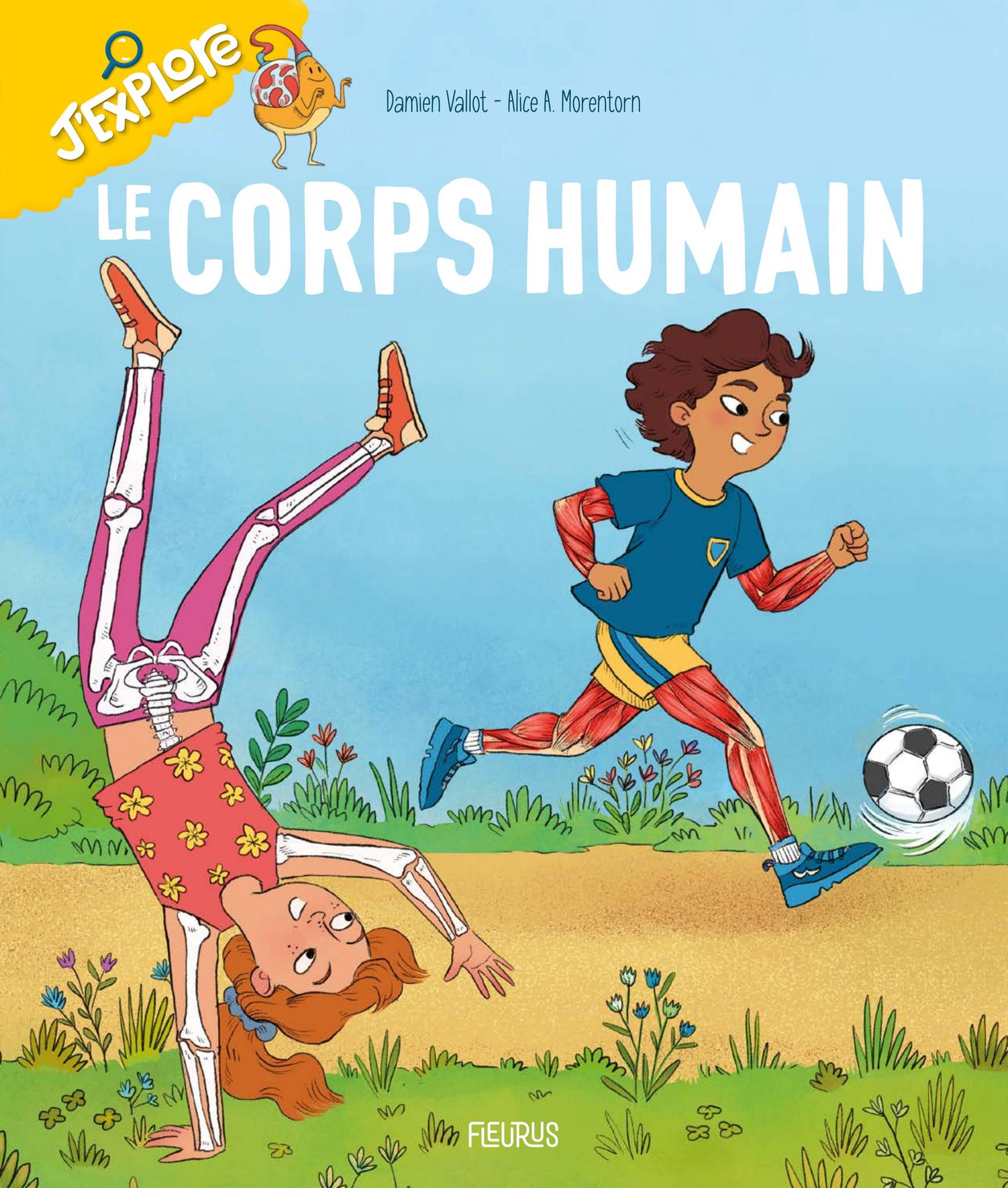J'explore Le corps humain by Fleurus Editions Issuu — free download