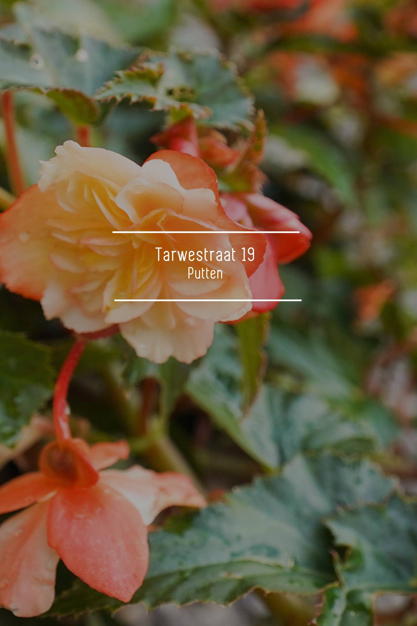 Homesupply Lookbook by Gieta Arendsen - Issuu