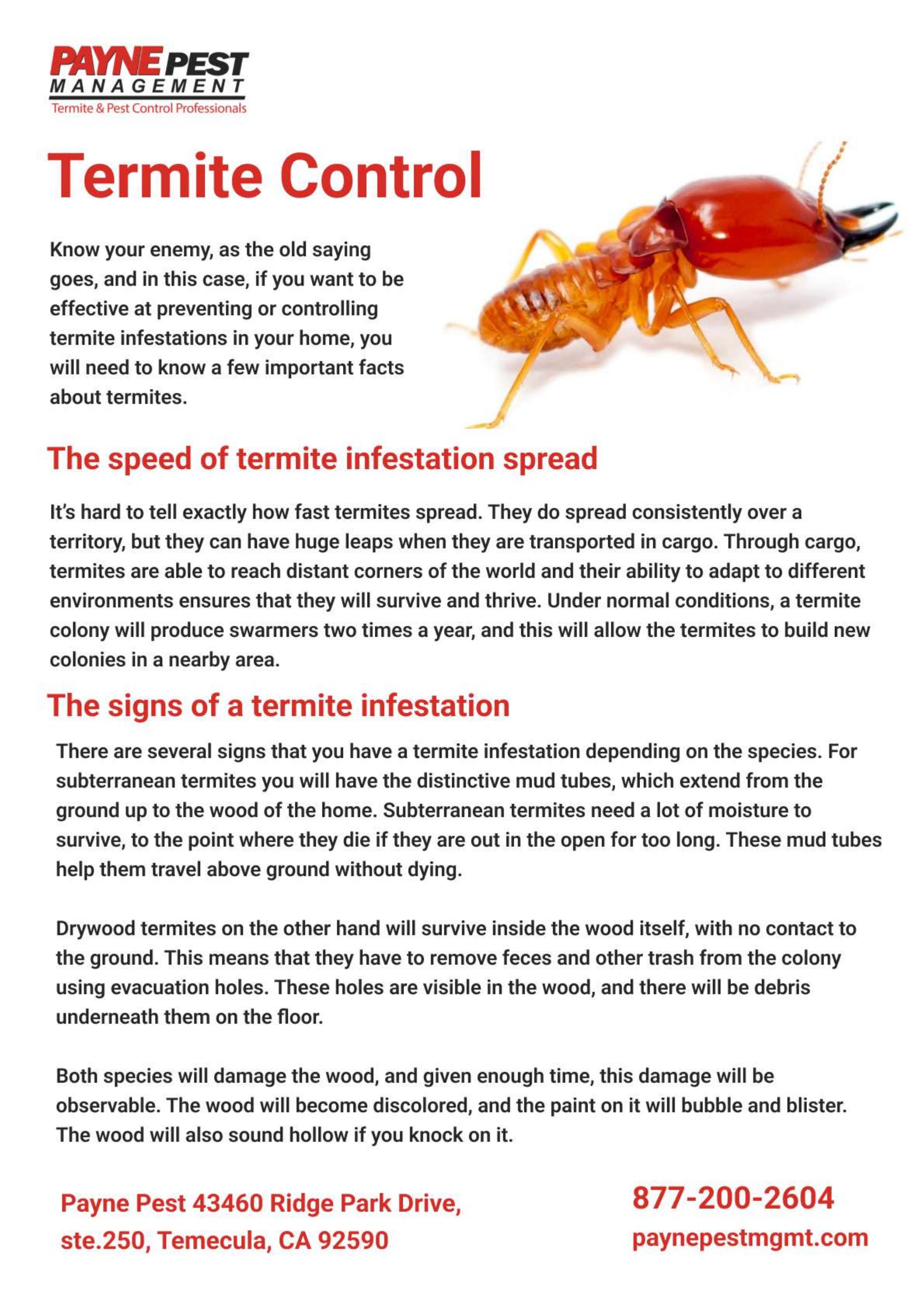 Rodent control San diego | pest and termite control in San diego by ...