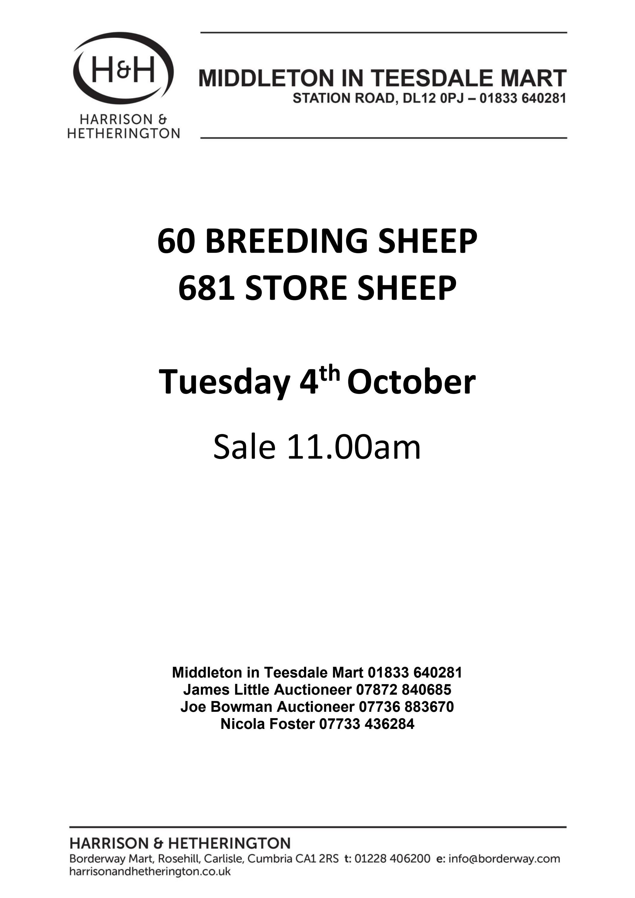 Middleton in Teesdale Breeding & Store Sheep by Harrison & Hetherington