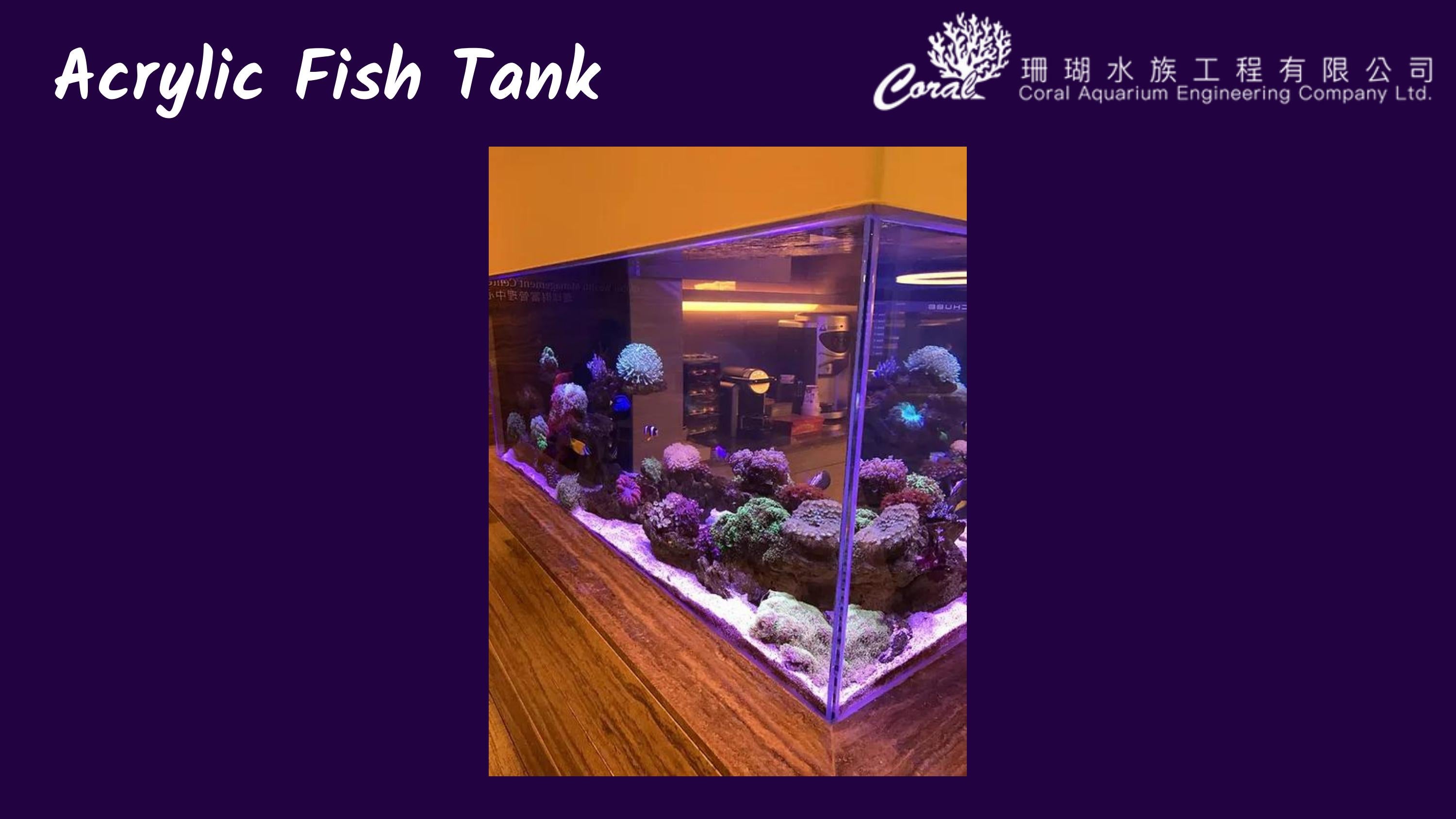 Acrylic Fish Tank by tkocoral994 Issuu