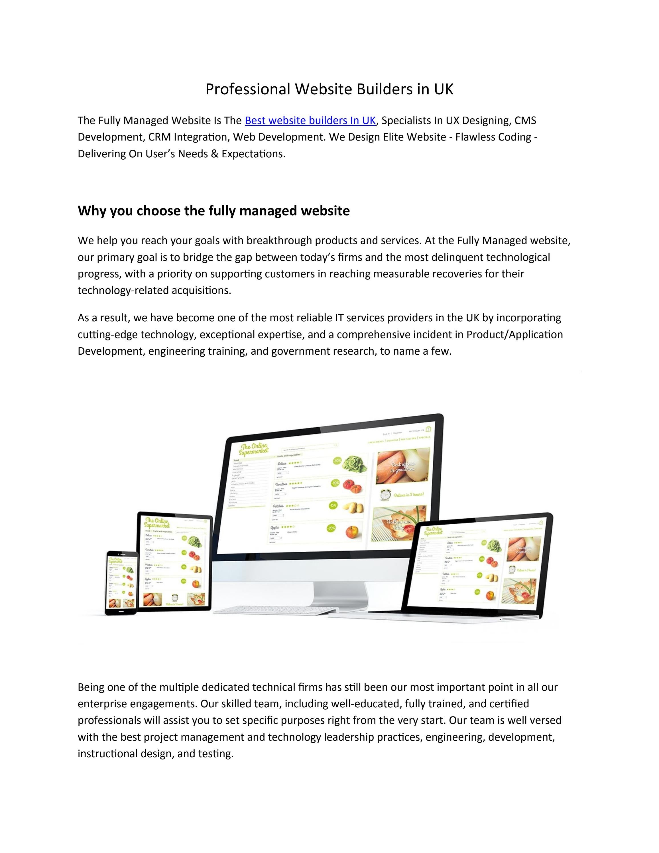 Professional Website Builders