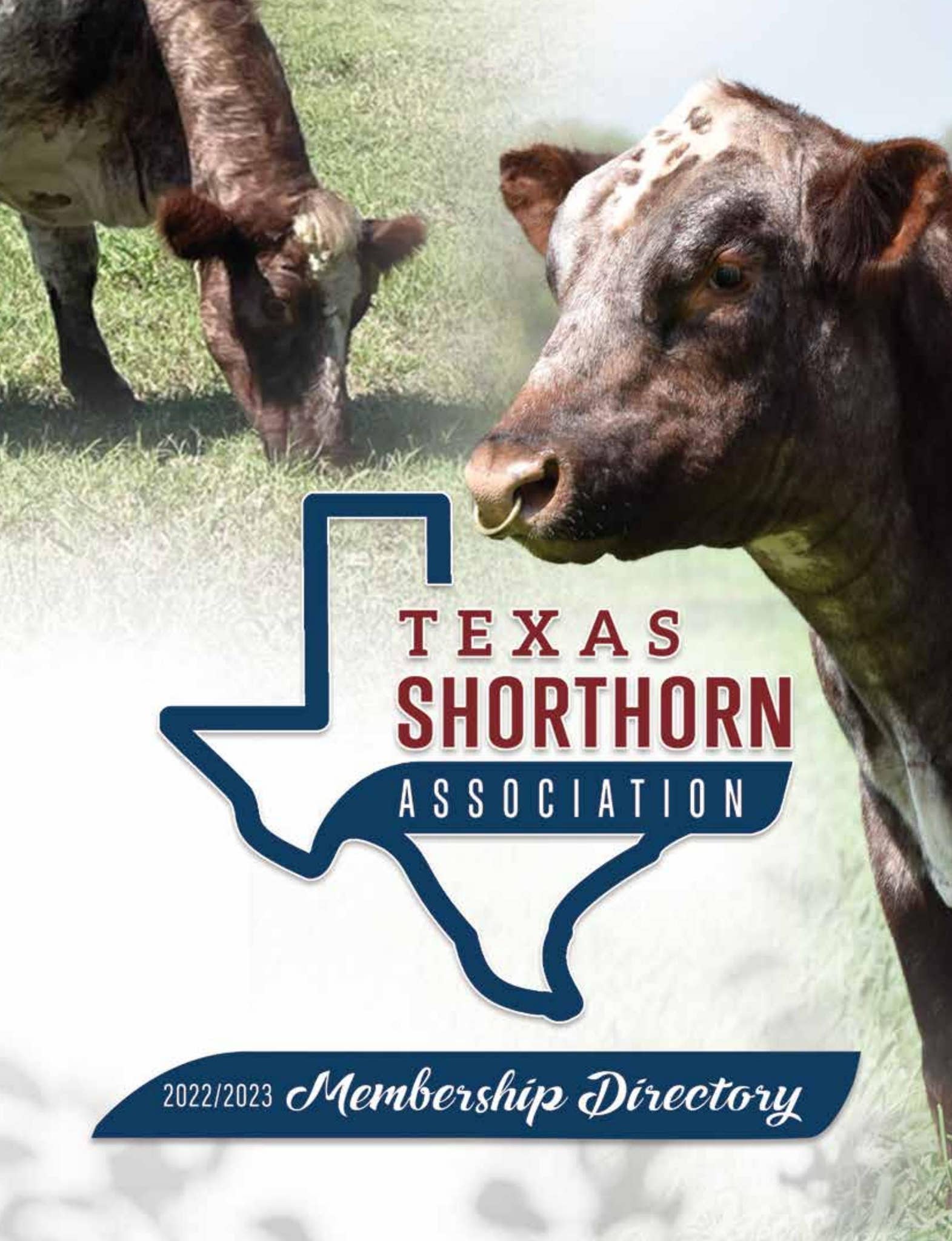 2022-23 Texas Shorthorn Assoc. Directory by SCI - Stephanie