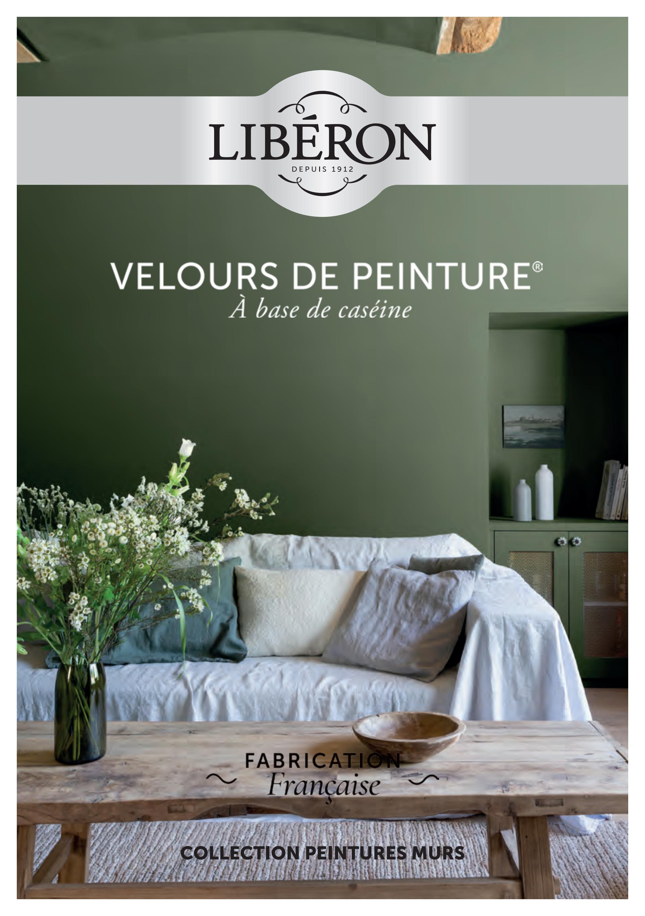 Guide Velours de Peinture ® 2022 by Groupe V33 - Issuu