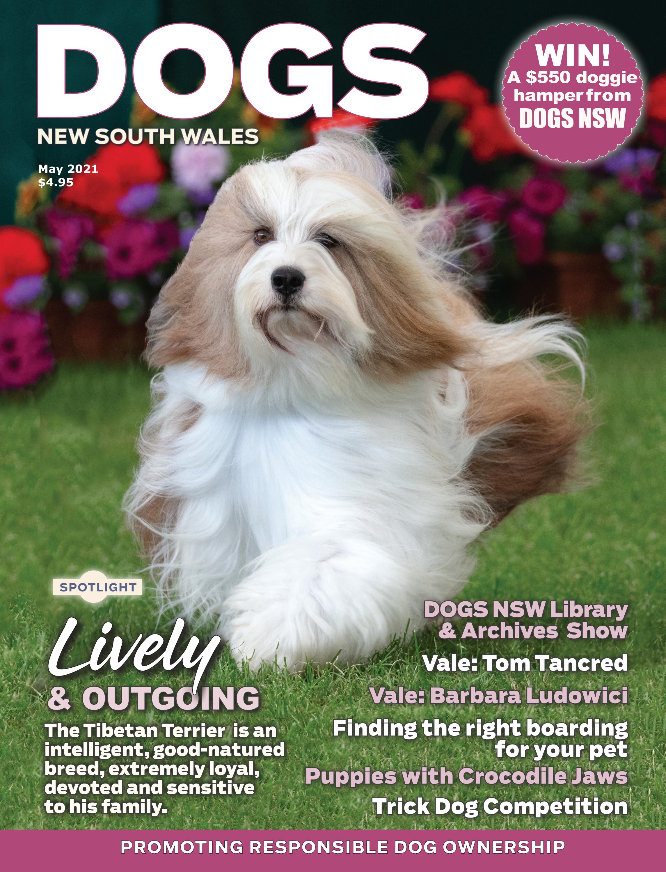 DOGS NSW May 2021 by dogsnsw Issuu