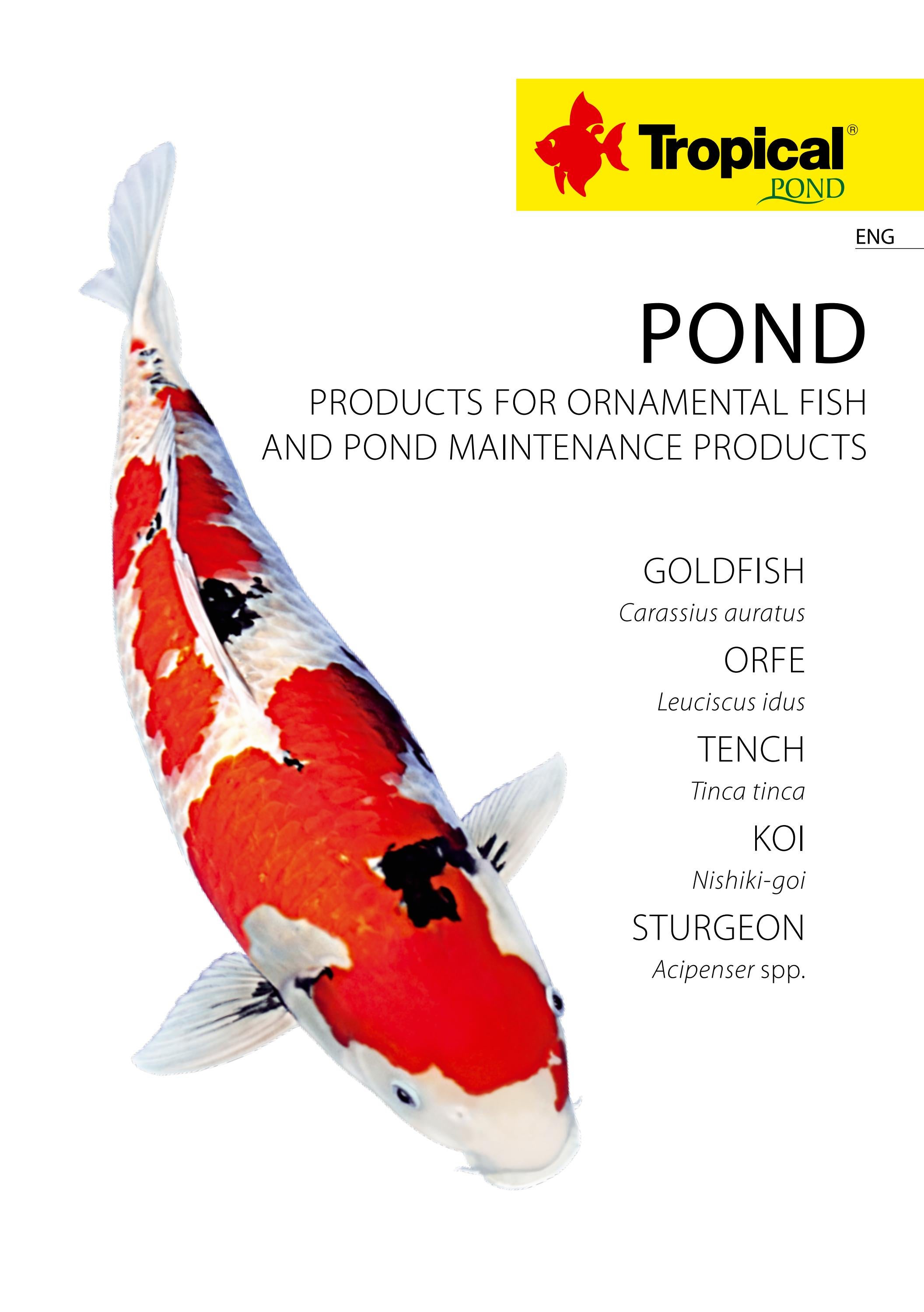 Cono Per Deposizione Discus Tropical - In Plastica Per Acquari - Sicuro E Facile Da Disinfettare - Foto 9