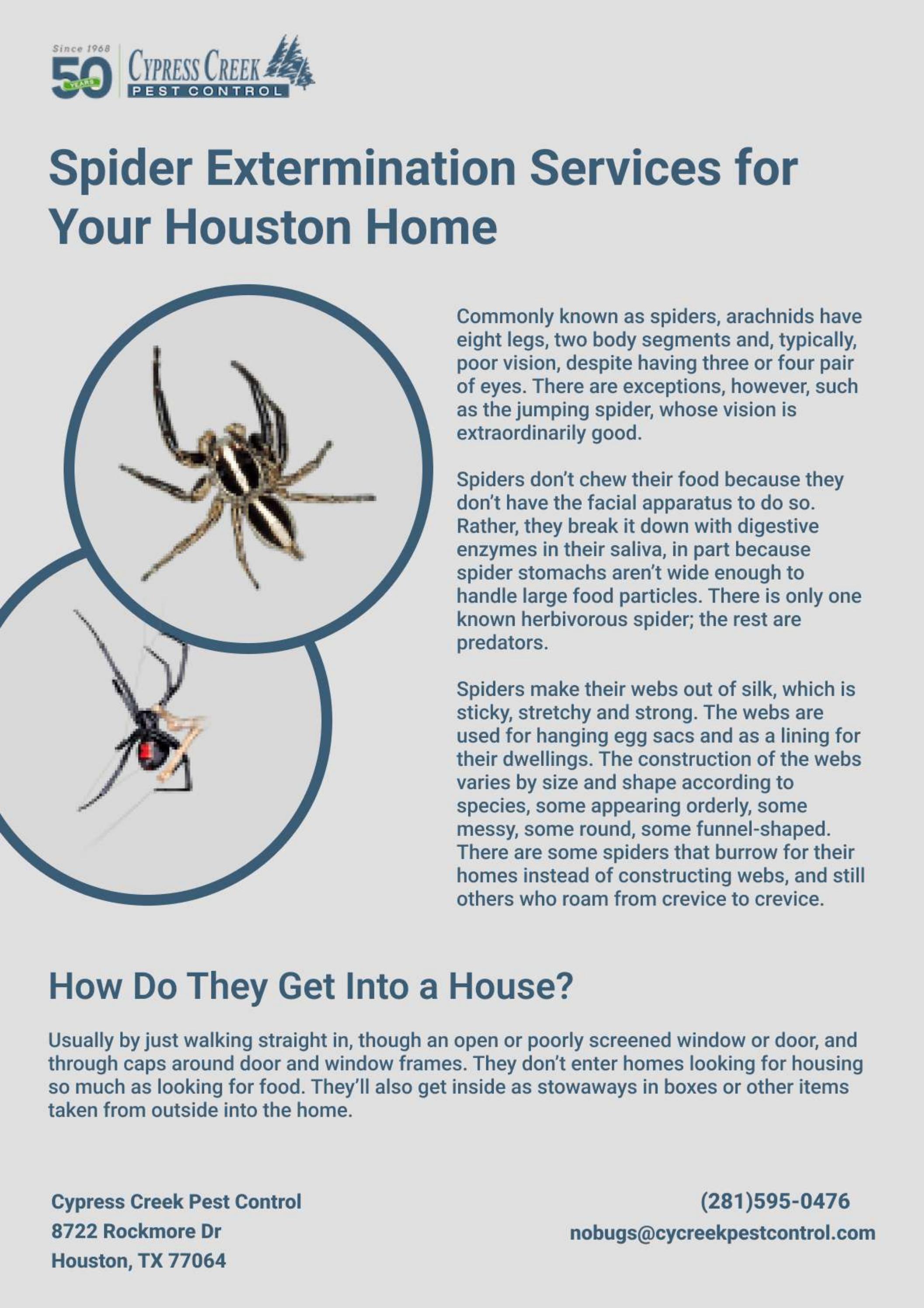 Houston Spider Control Pest Control Services Houston by