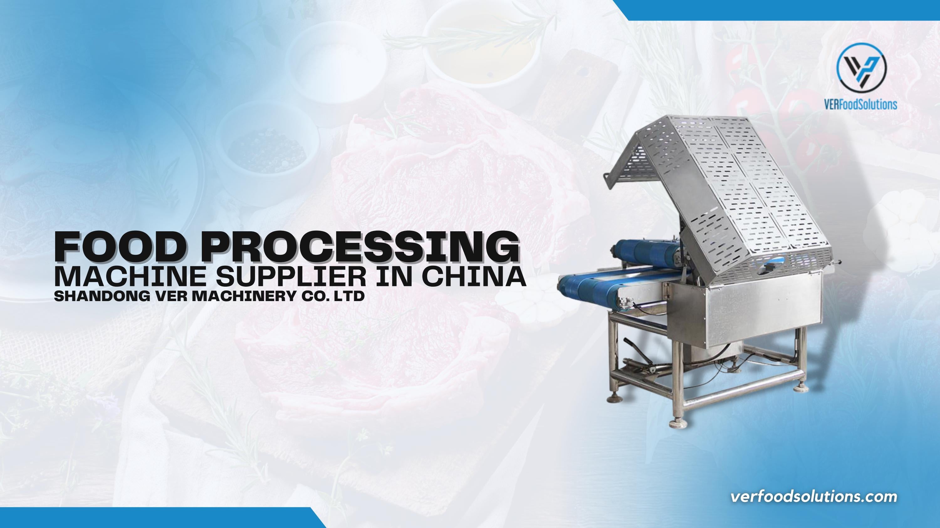 Food Processing Equipment Manufacturer in China VER Food Solutions by
