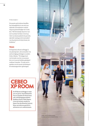 cebeo nv 灯饰目录 · 家居 8 - 智能 灯饰 : het licht van 德文 toekomst 第 12 页