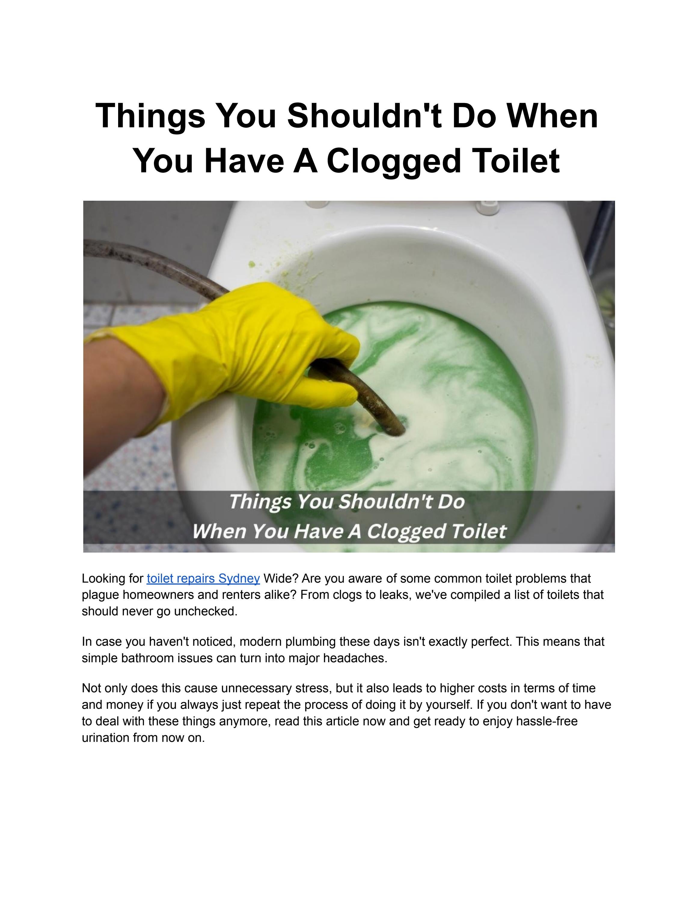 Things You Shouldn't Do When You Have A Clogged Toilet by Aspen Pluma