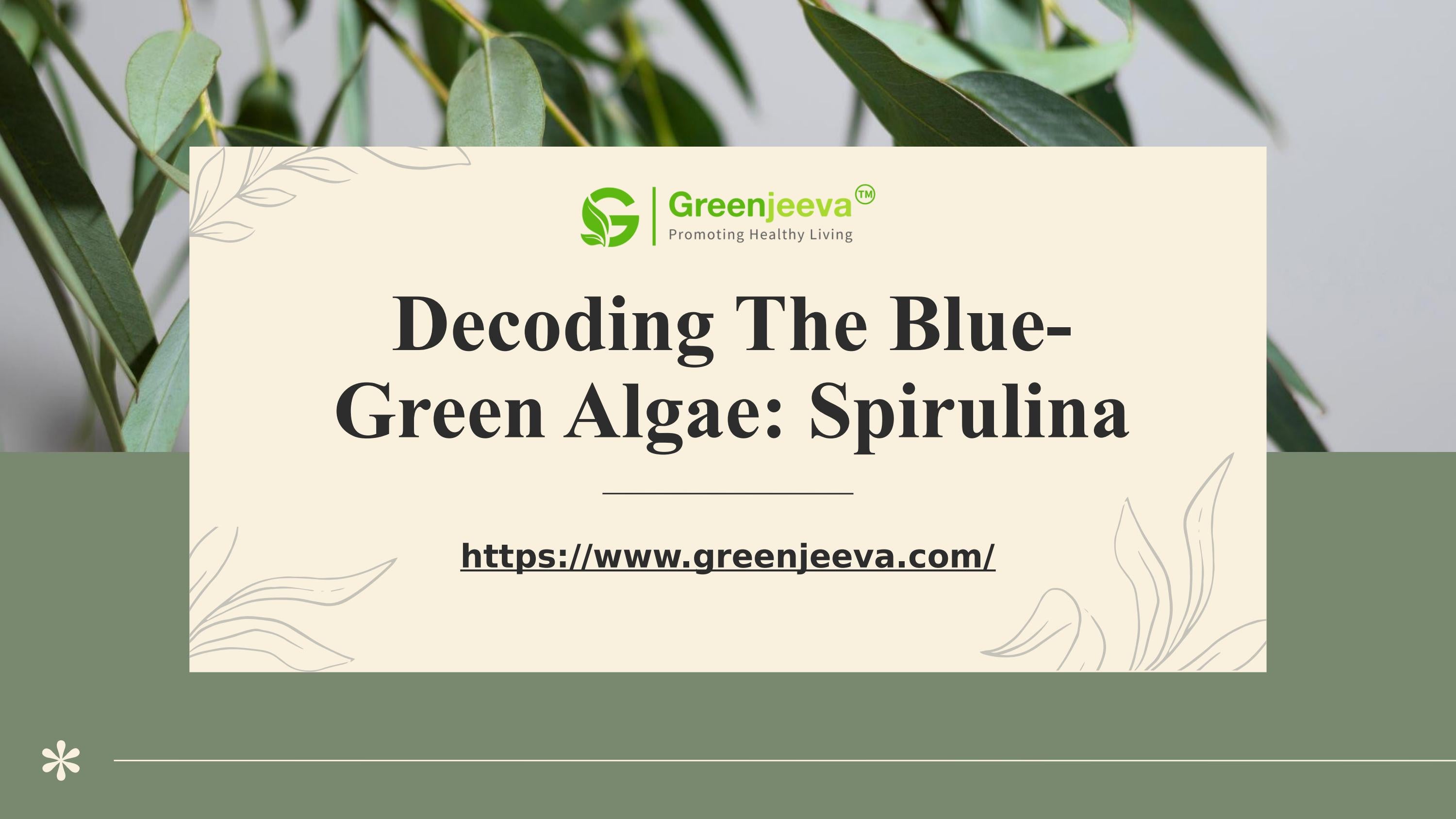 Decoding The BlueGreen Algae Spirulina by Green Jeeva Issuu