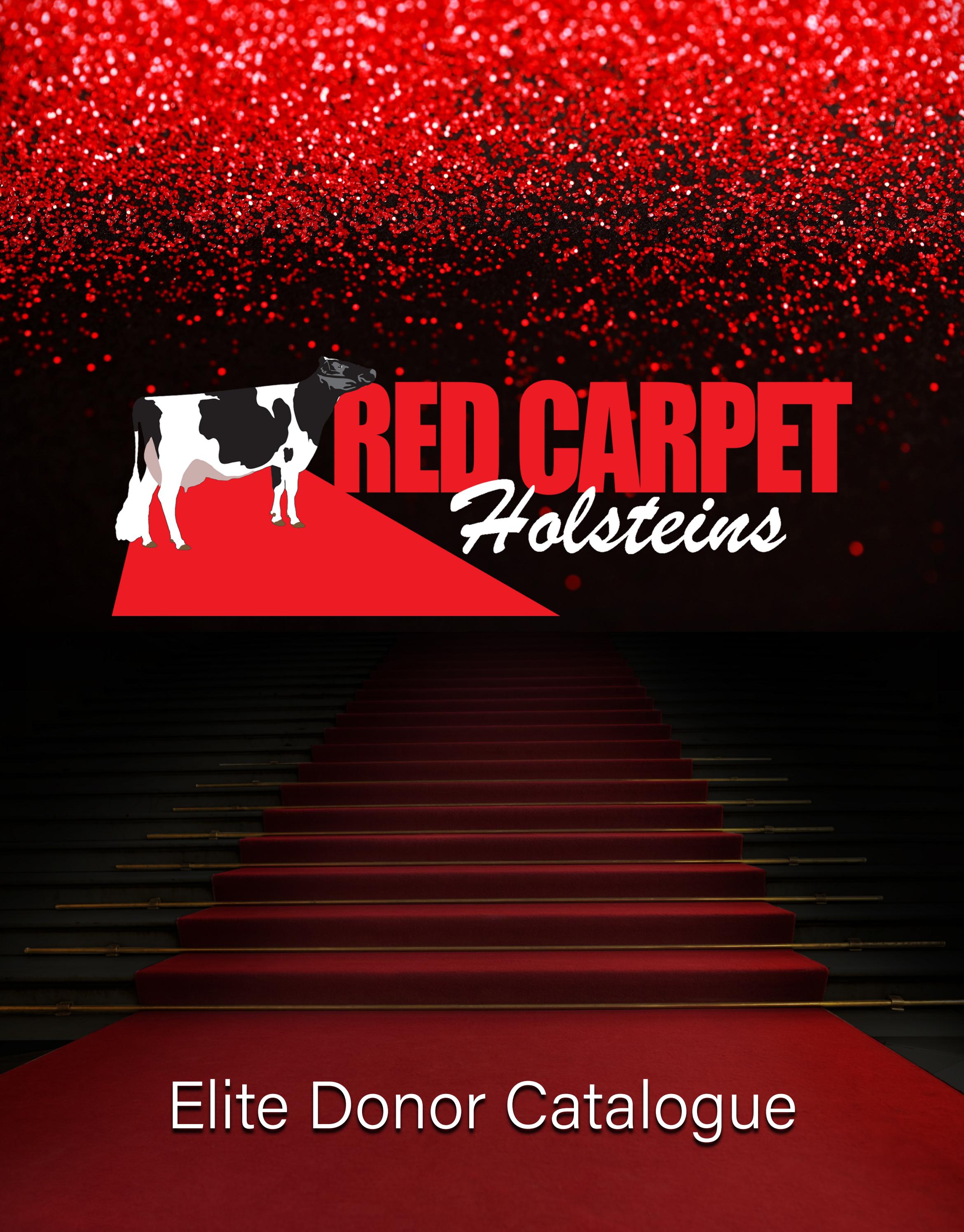 Red Carpet Holsteins Donor Catalogue by UniqueDesigns Issuu