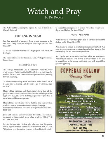 Page 31