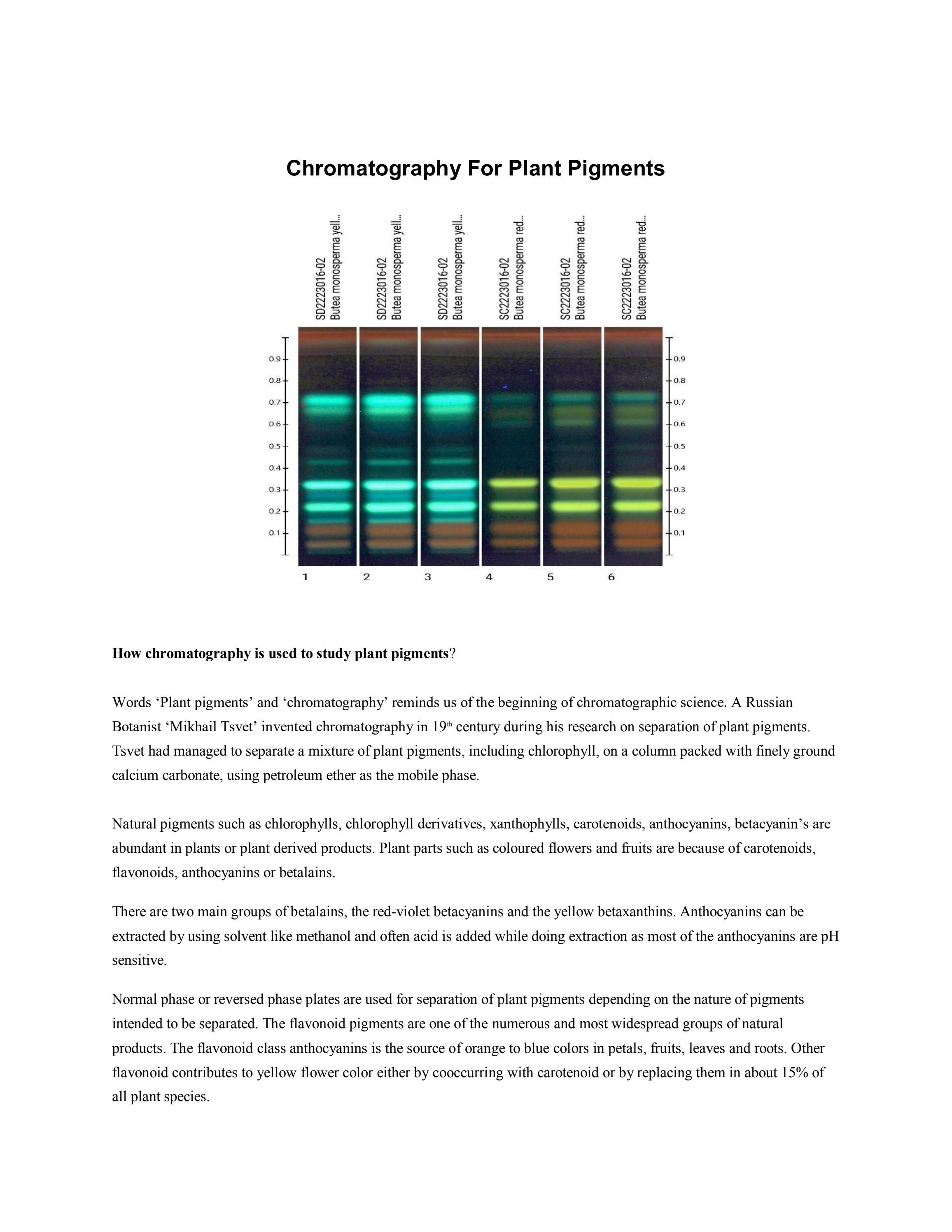 Master Chromatography Identify Pigments Like A Pro - 0owrt9a