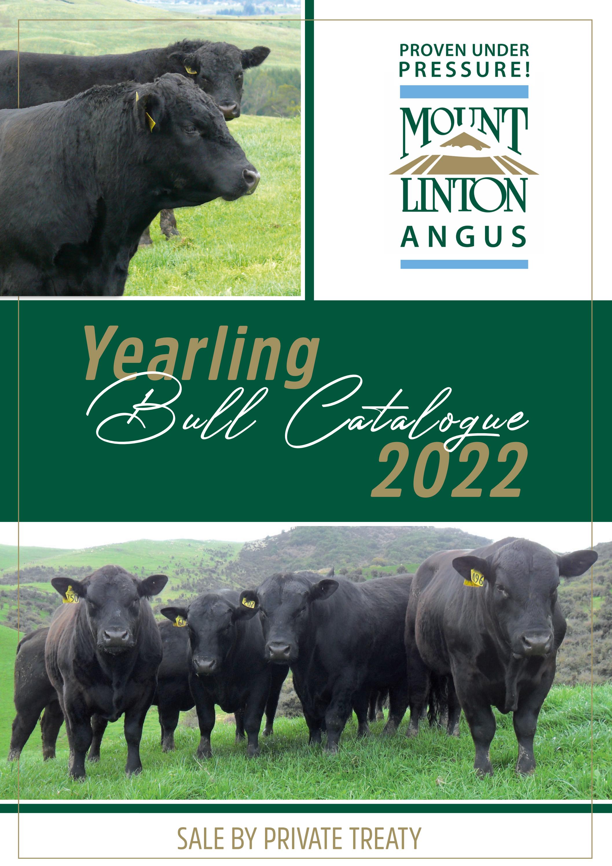 Mount Linton Yearling Bull Sale 2022 by Angus Australia Issuu