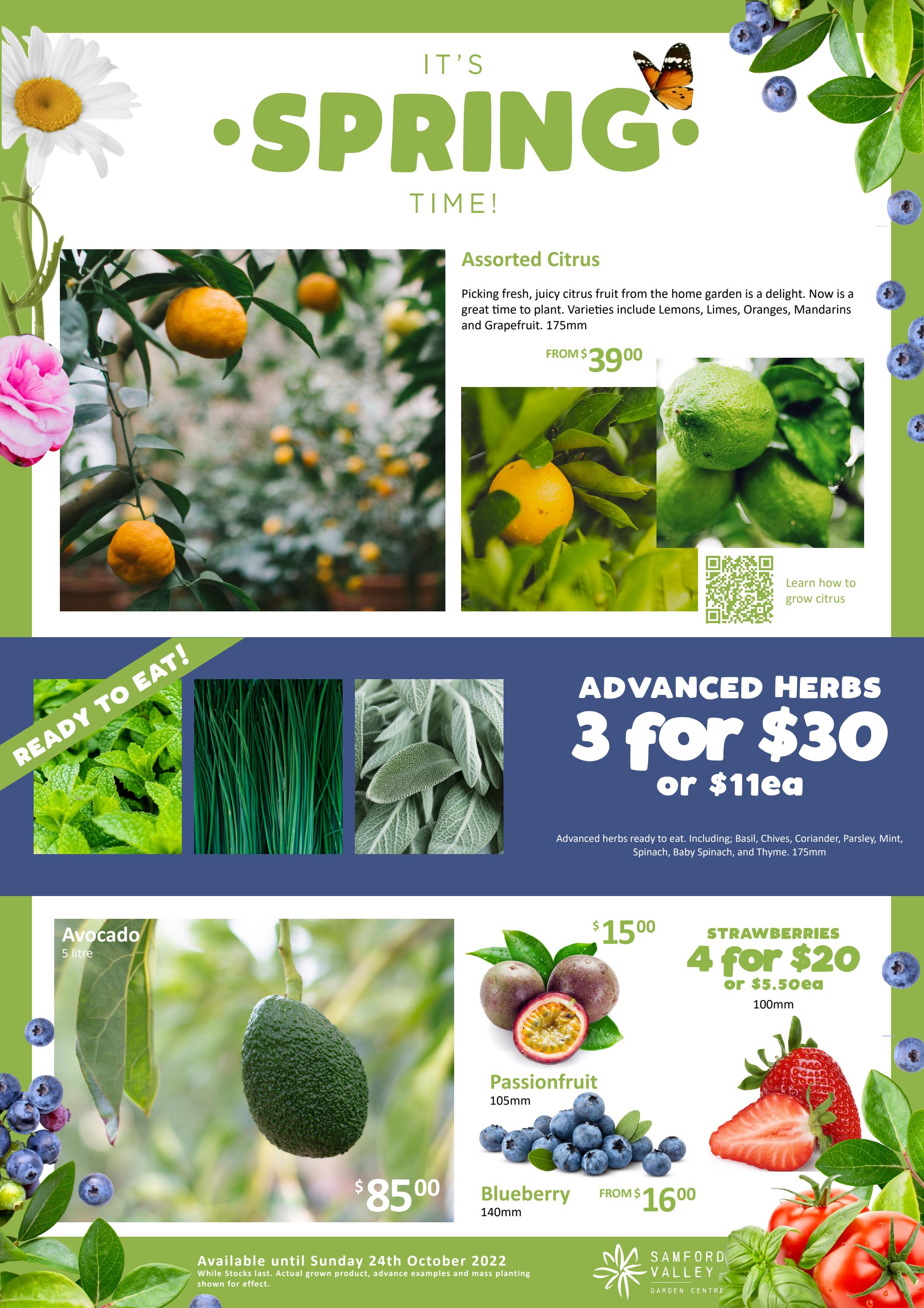 Samford Valley Garden Centre Spring Catalogue 2022 by Gro Australia Issuu