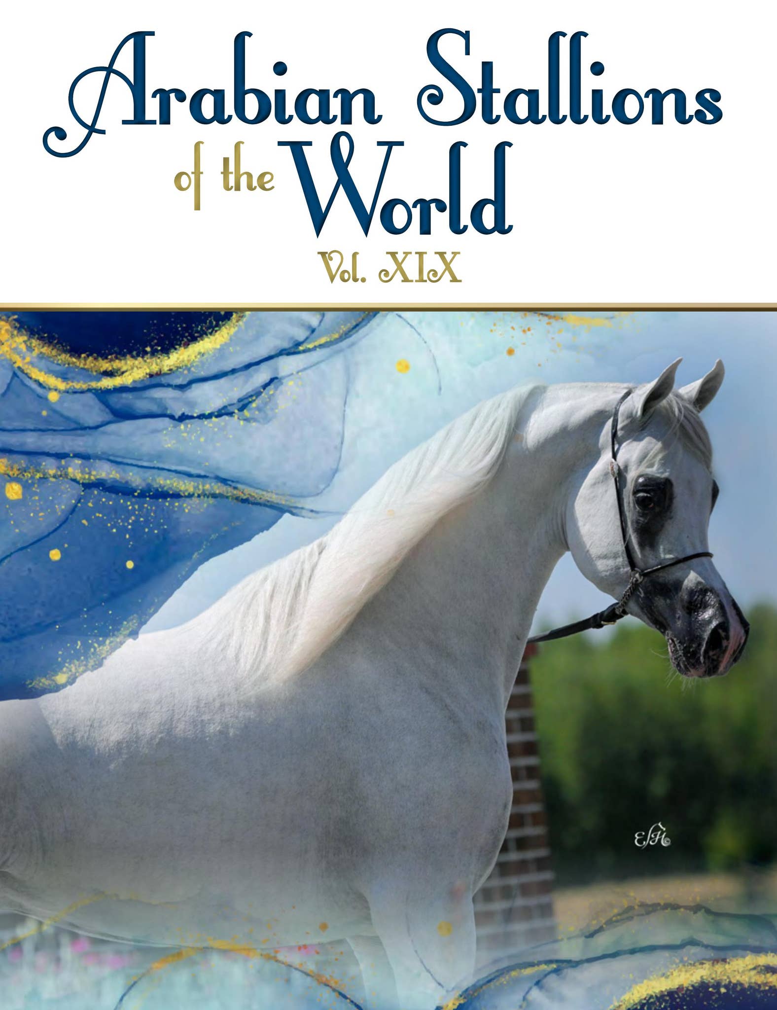 Arabian Stallions of the World Vol. XIX by Alim editrice - Issuu