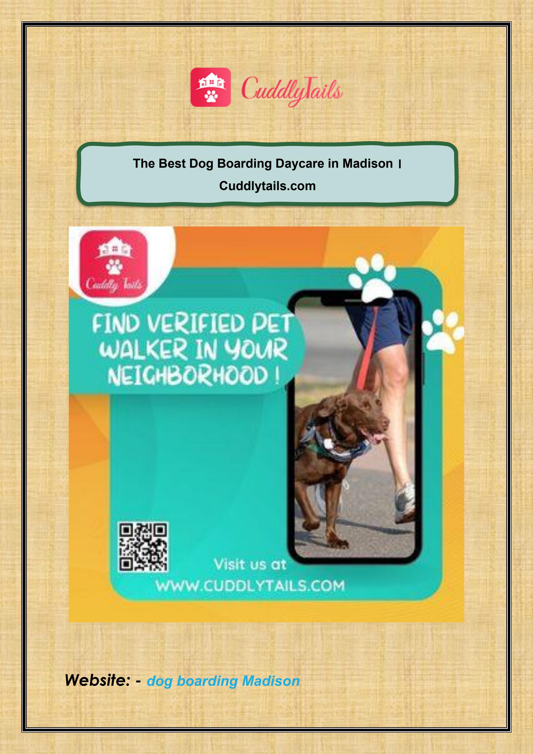 The Best Dog Boarding Daycare in Madison । by Cuddly
