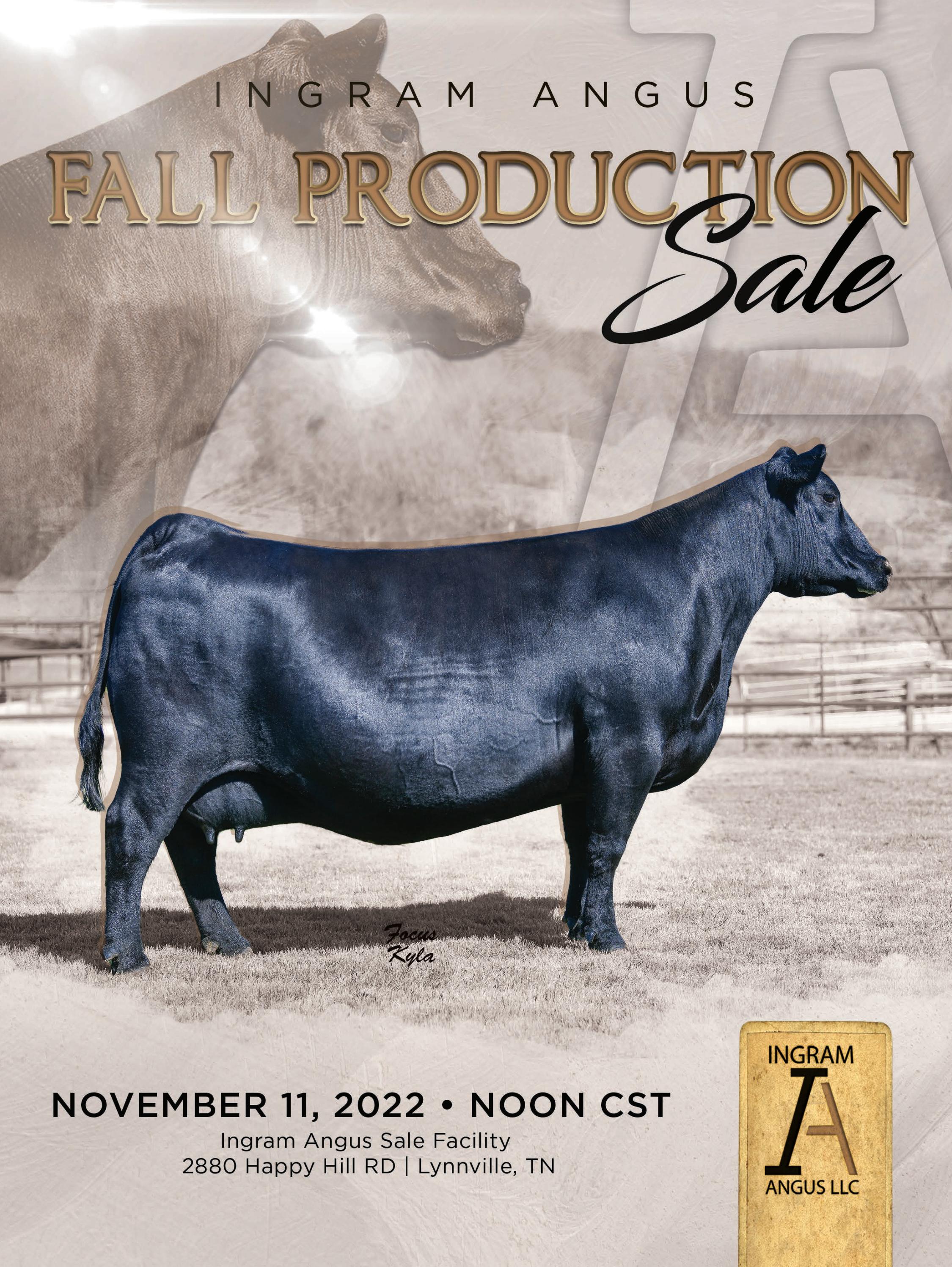 2022 Ingram Angus Sale Catalog by Ranch House Designs Issuu