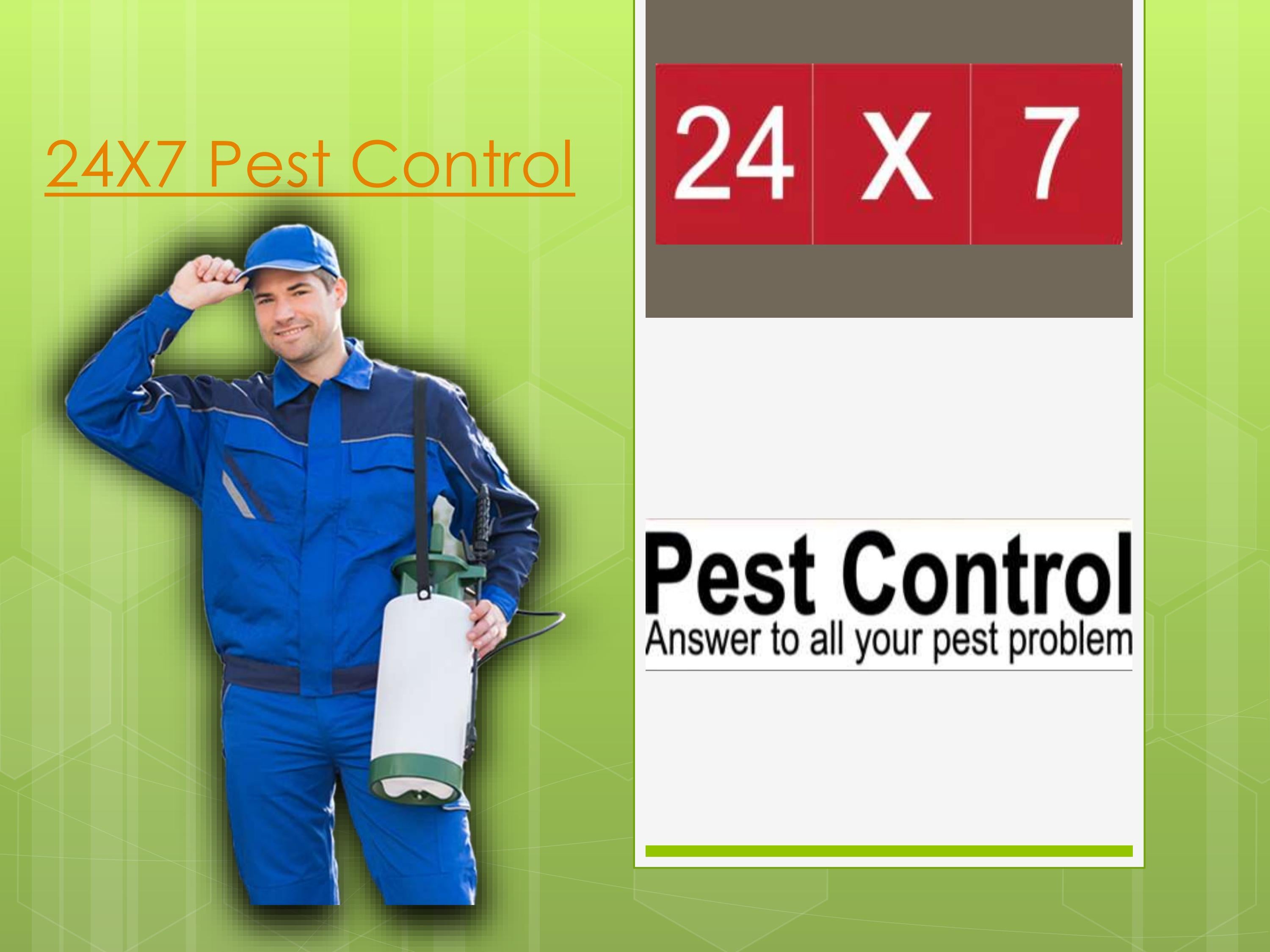 Pest Control Noida by controlpankajpest Issuu